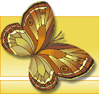 Сайт о бабочках