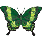 Рисунок бабочки 139